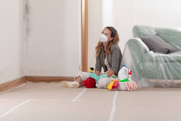 Reliable Mold Remediation contractor in Capitol Heights, MD by Cheap Mold Removal